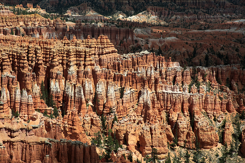 Bryce Canyon : Utah : Landscape Photos : Richard Moore : Photographer